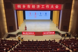 【菊乡快评】经济工作大会上，桐乡市委书记为何重点讲JXF吉祥坊的电子布？